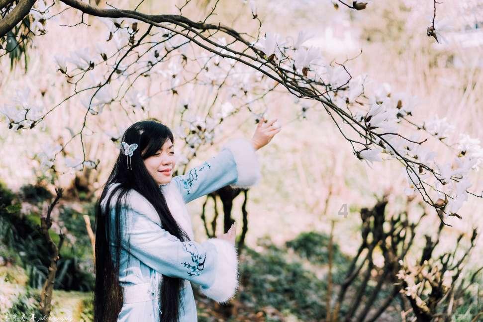 寻找萌小老虎