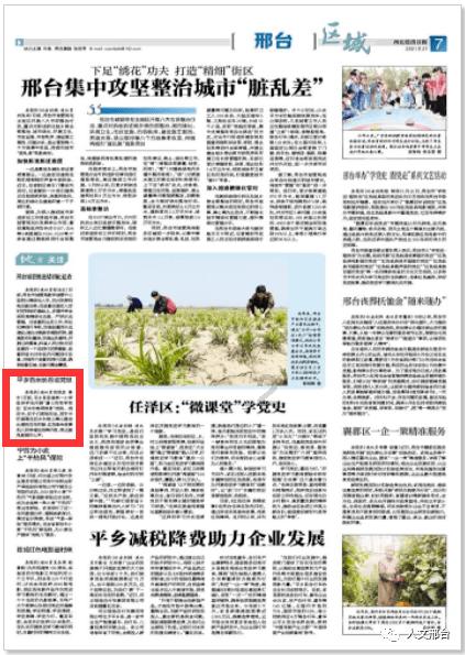 敖犬与未婚妻最新靓照，最美空姐飞11年辞职，迈向新的人生阶段